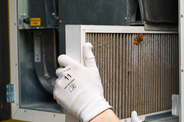 Best Affordable HVAC Duct Cleaning  in Hayfork, CA